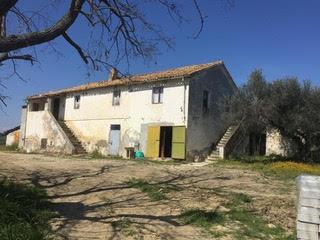 /api/file/public/264478/26099