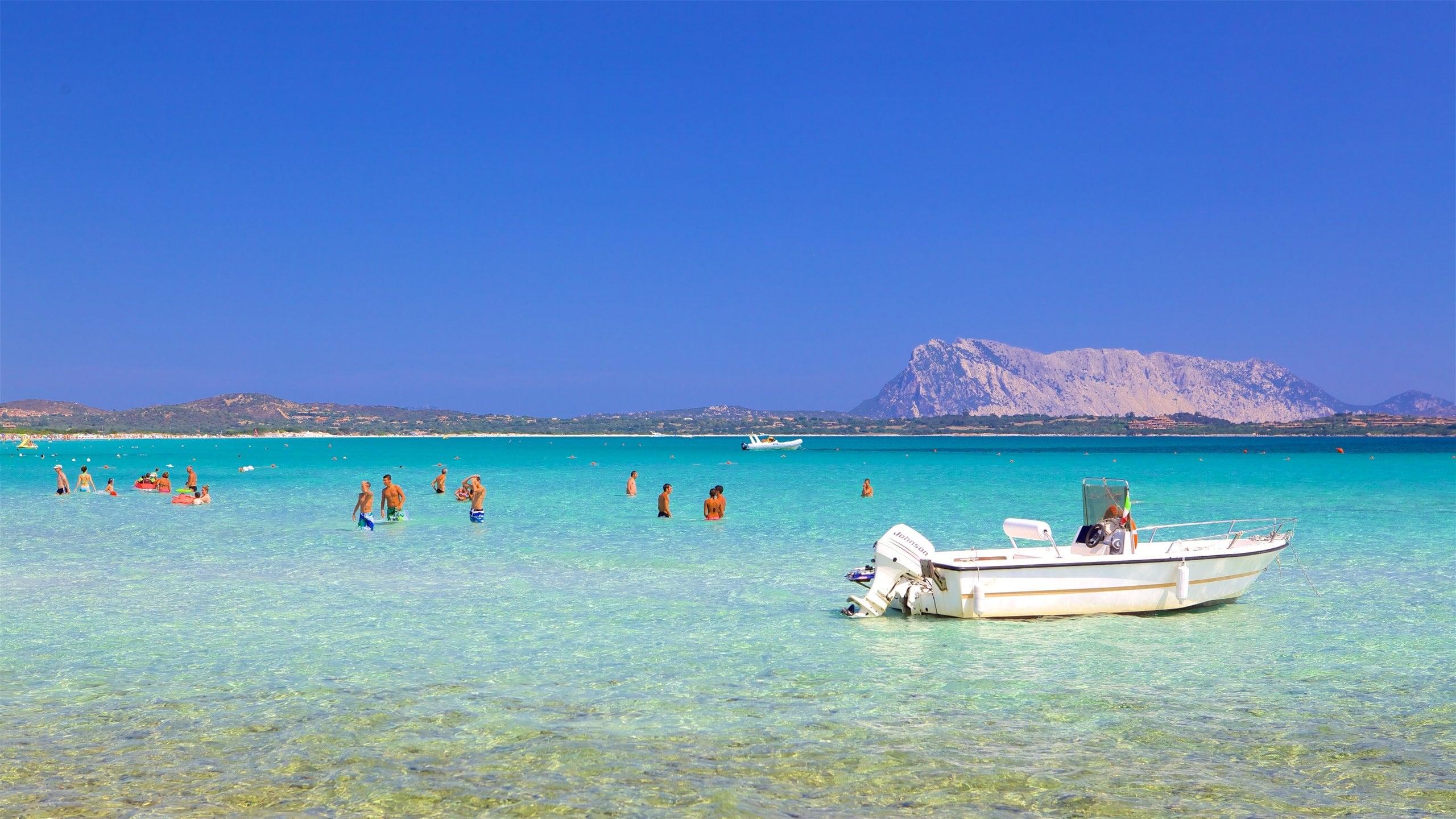 /api/file/public/264739/26984