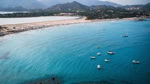 /api/file/public/264743/26995