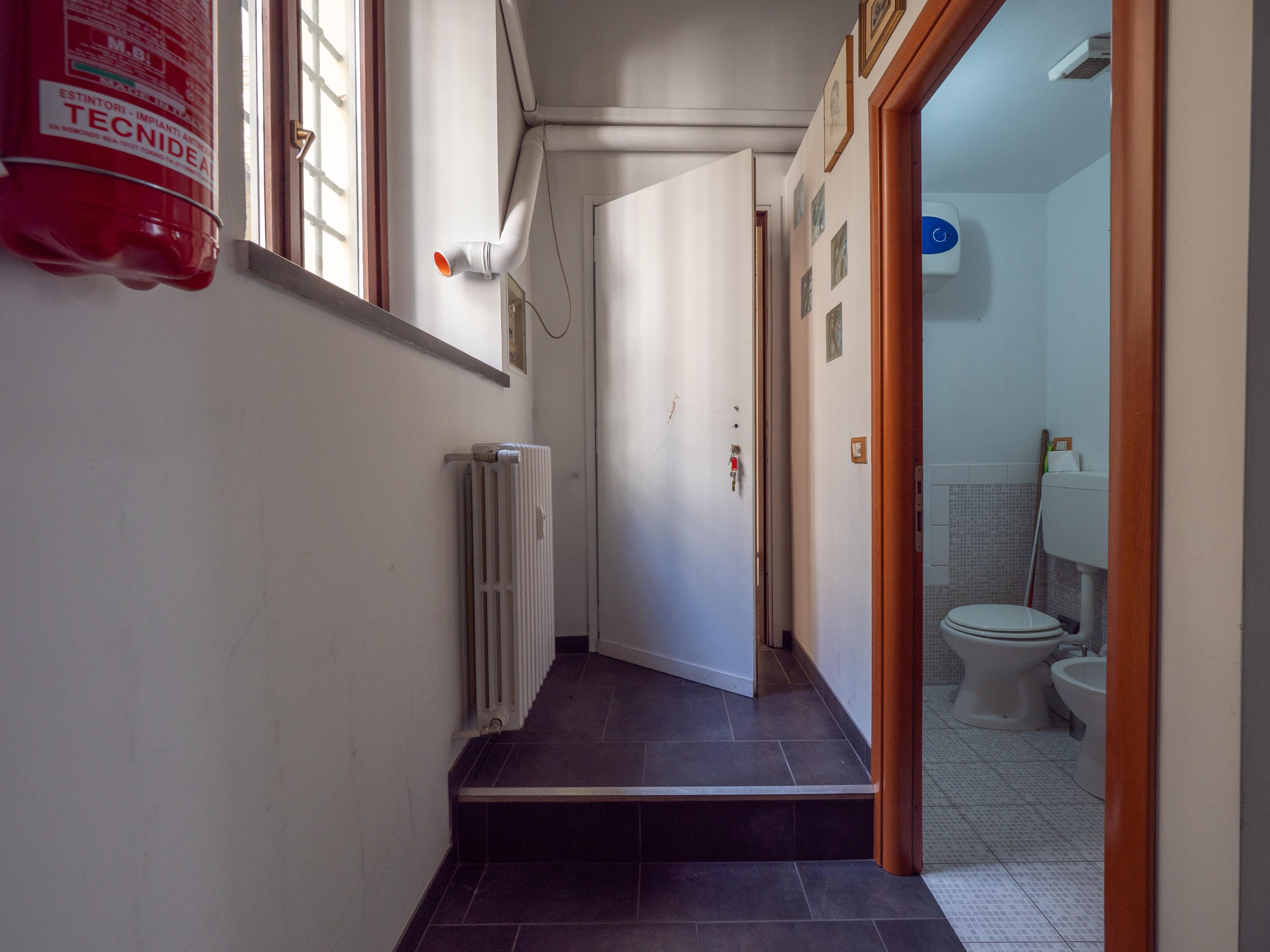 /api/file/public/264967/28129