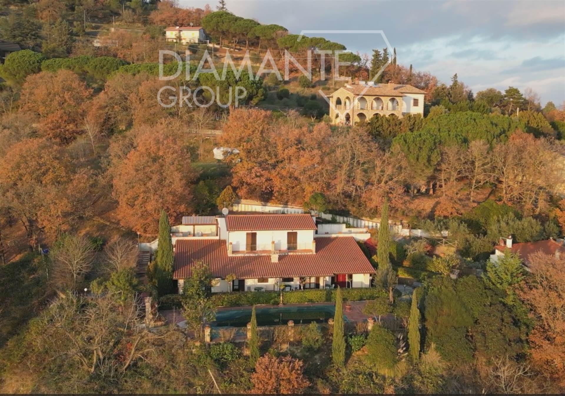 /api/file/public/264973/28158