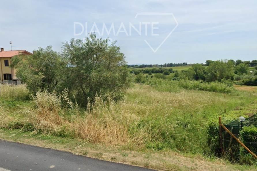 /api/file/public/264975/28162