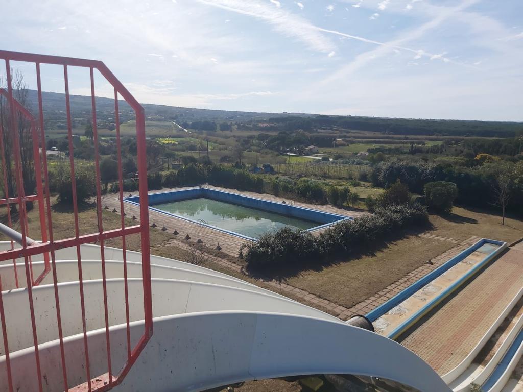 /api/file/public/264988/28216