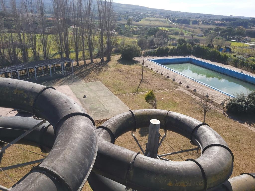 /api/file/public/264988/28219