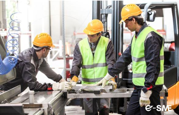 /api/file/public/265003/28331