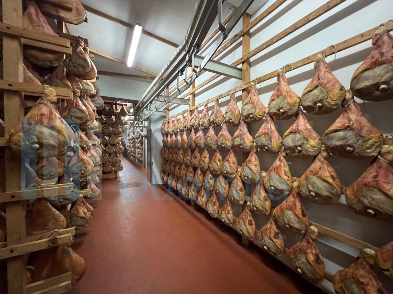 /api/file/public/265027/28417