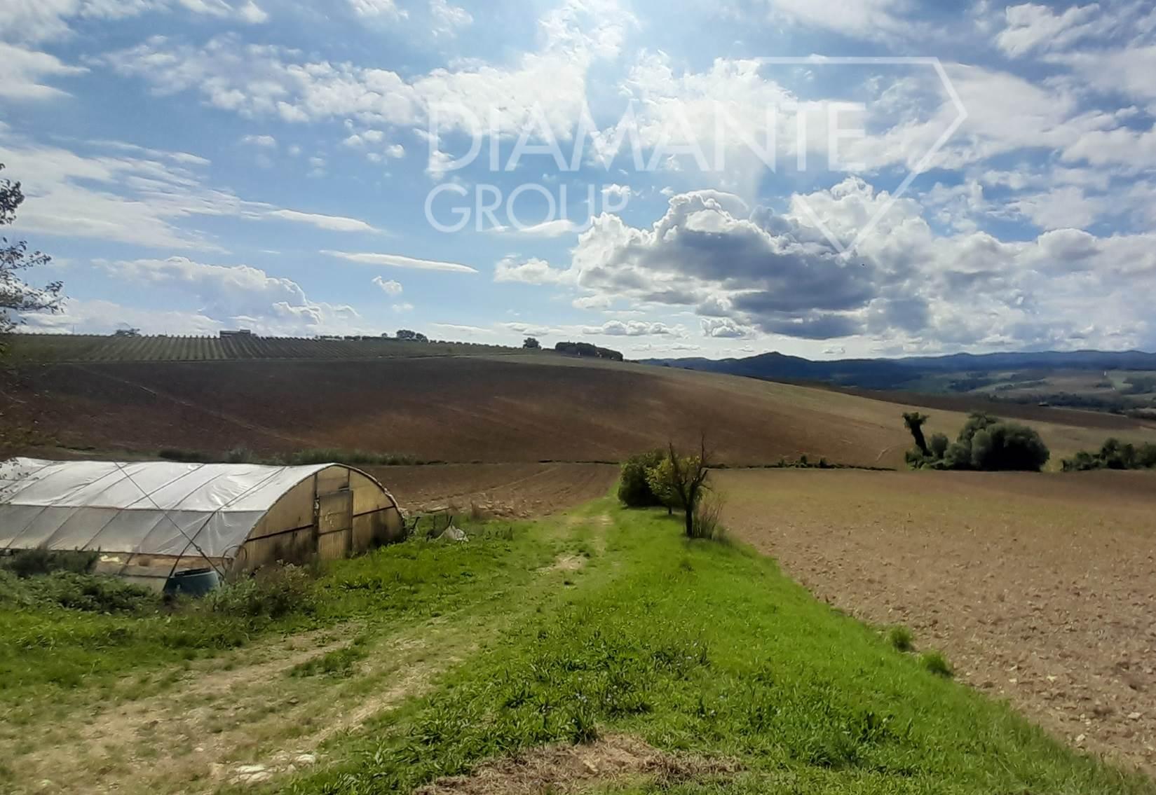 /api/file/public/265064/28518