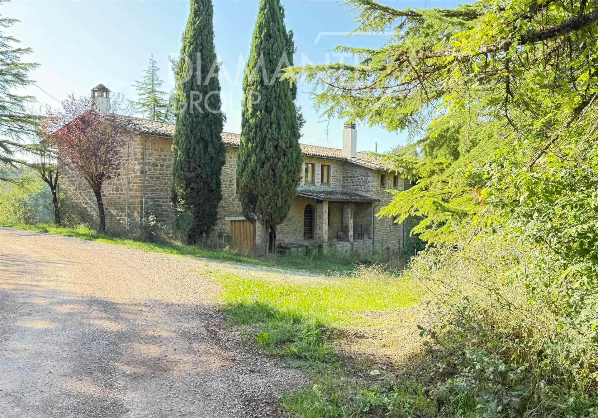 /api/file/public/265075/28614