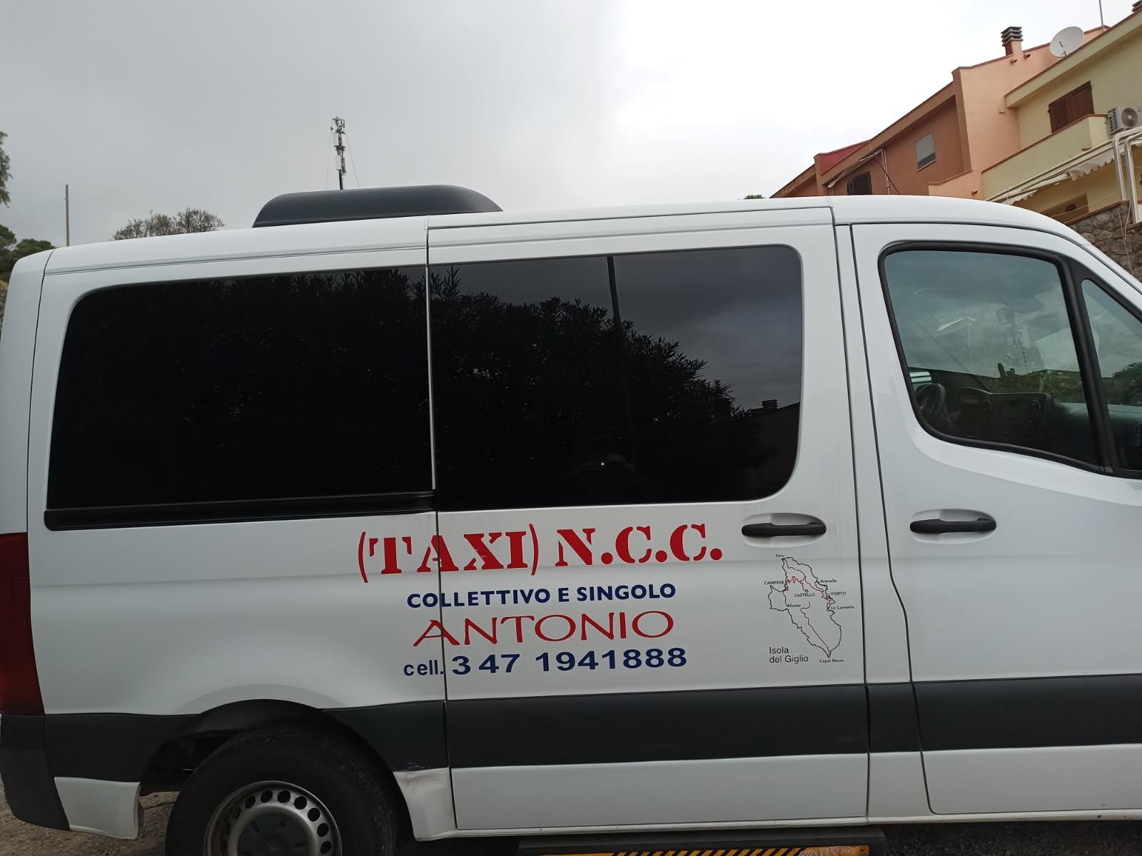 /api/file/public/265096/28667