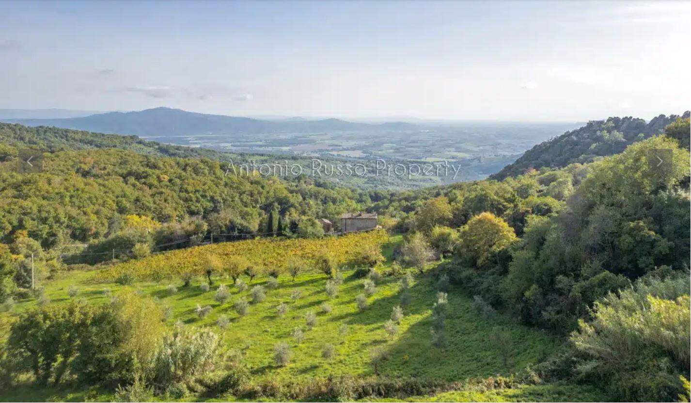 /api/file/public/265162/29087