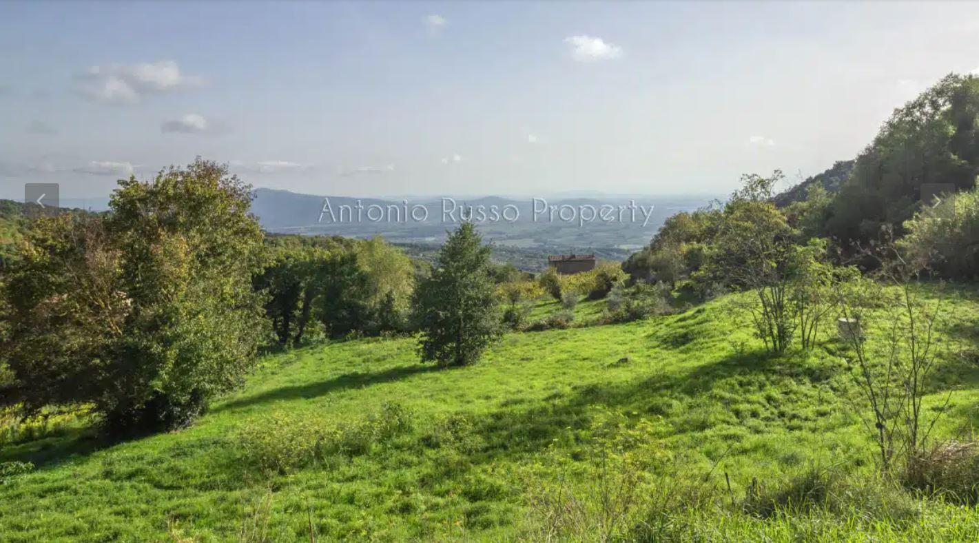 /api/file/public/265162/29091