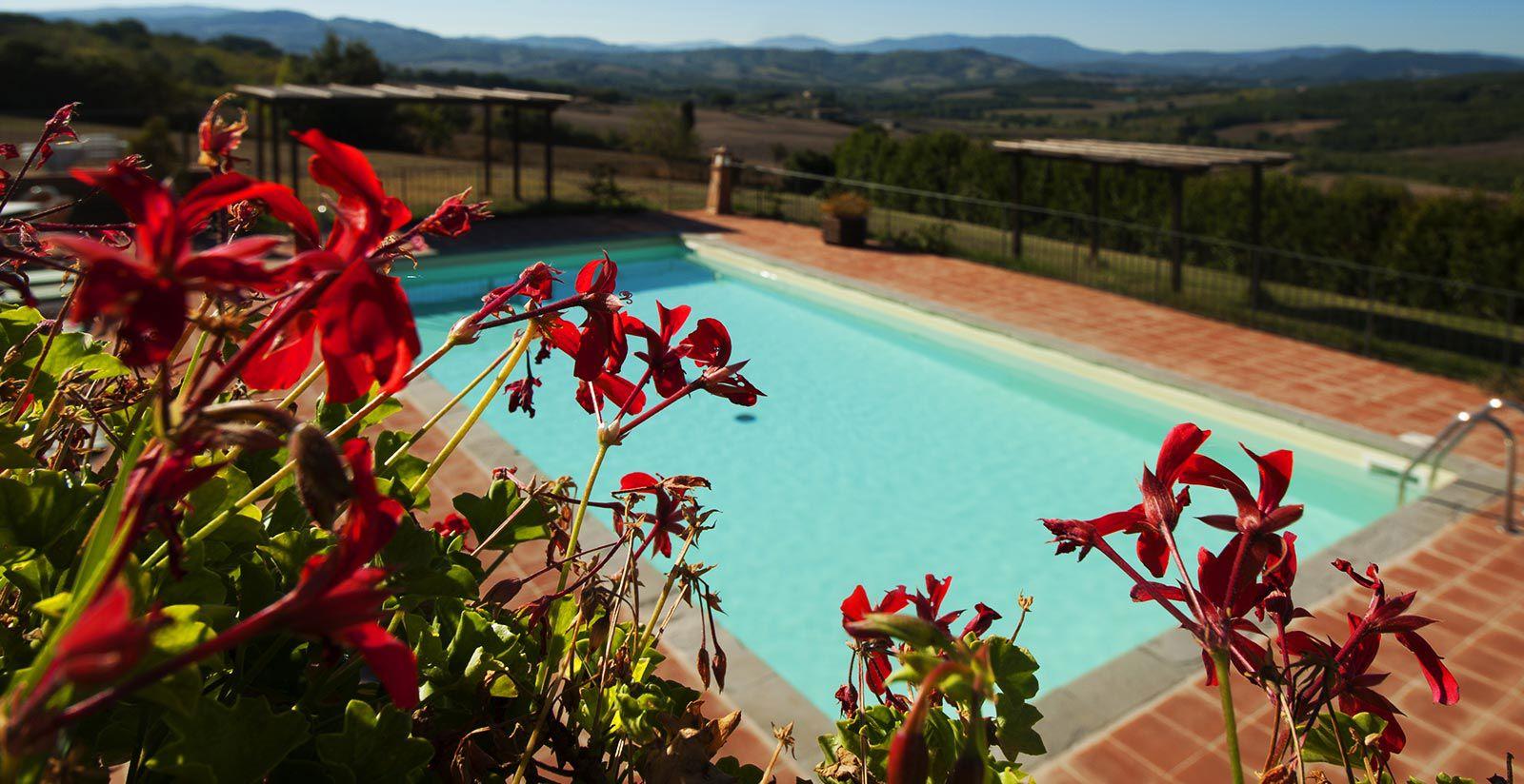 /api/file/public/265169/30602