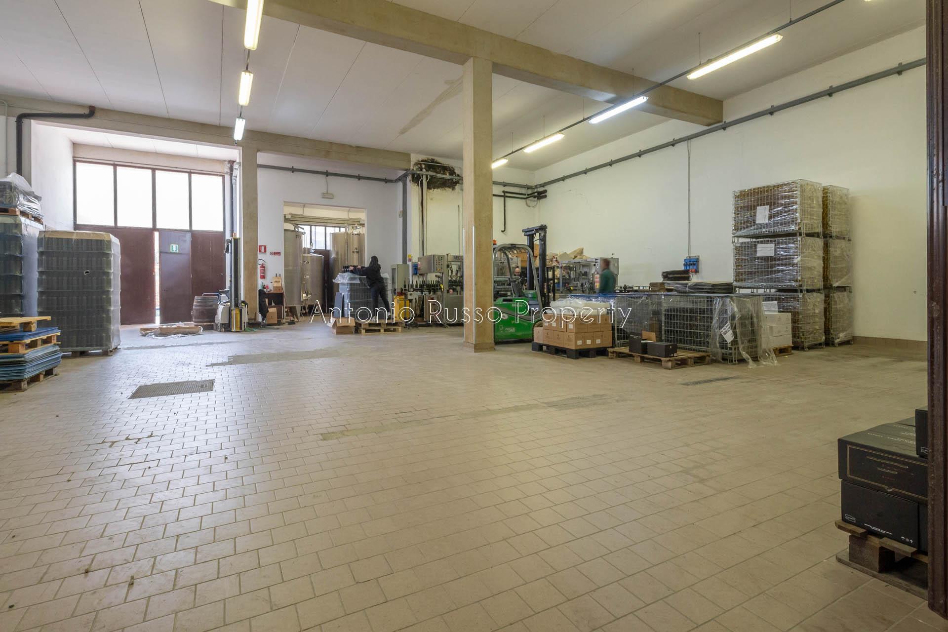 /api/file/public/265171/29232