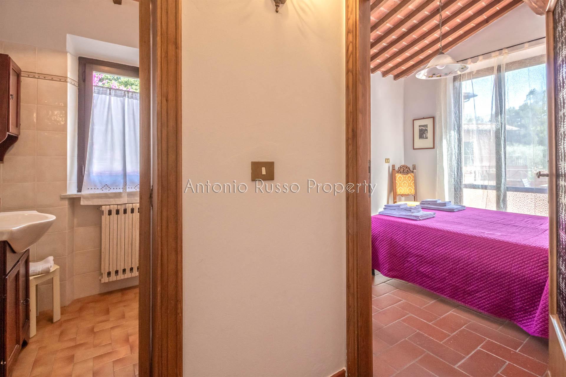 /api/file/public/265171/29235