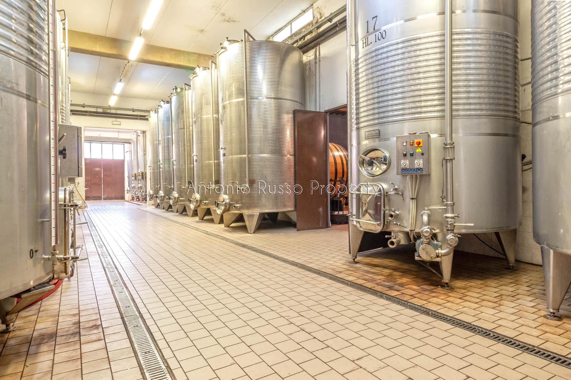 /api/file/public/265171/29245