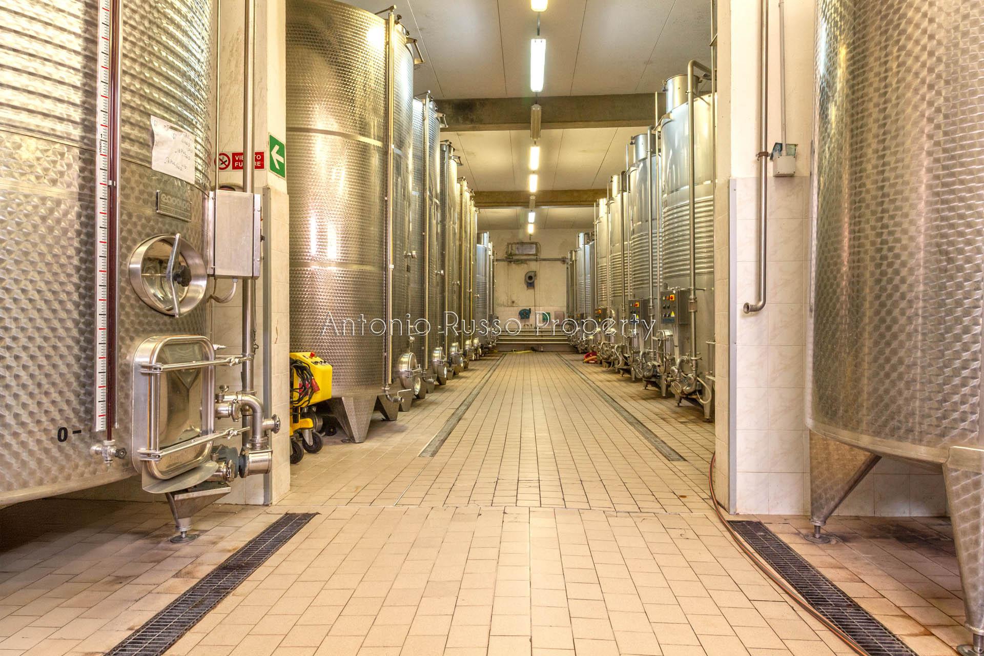 /api/file/public/265171/29248