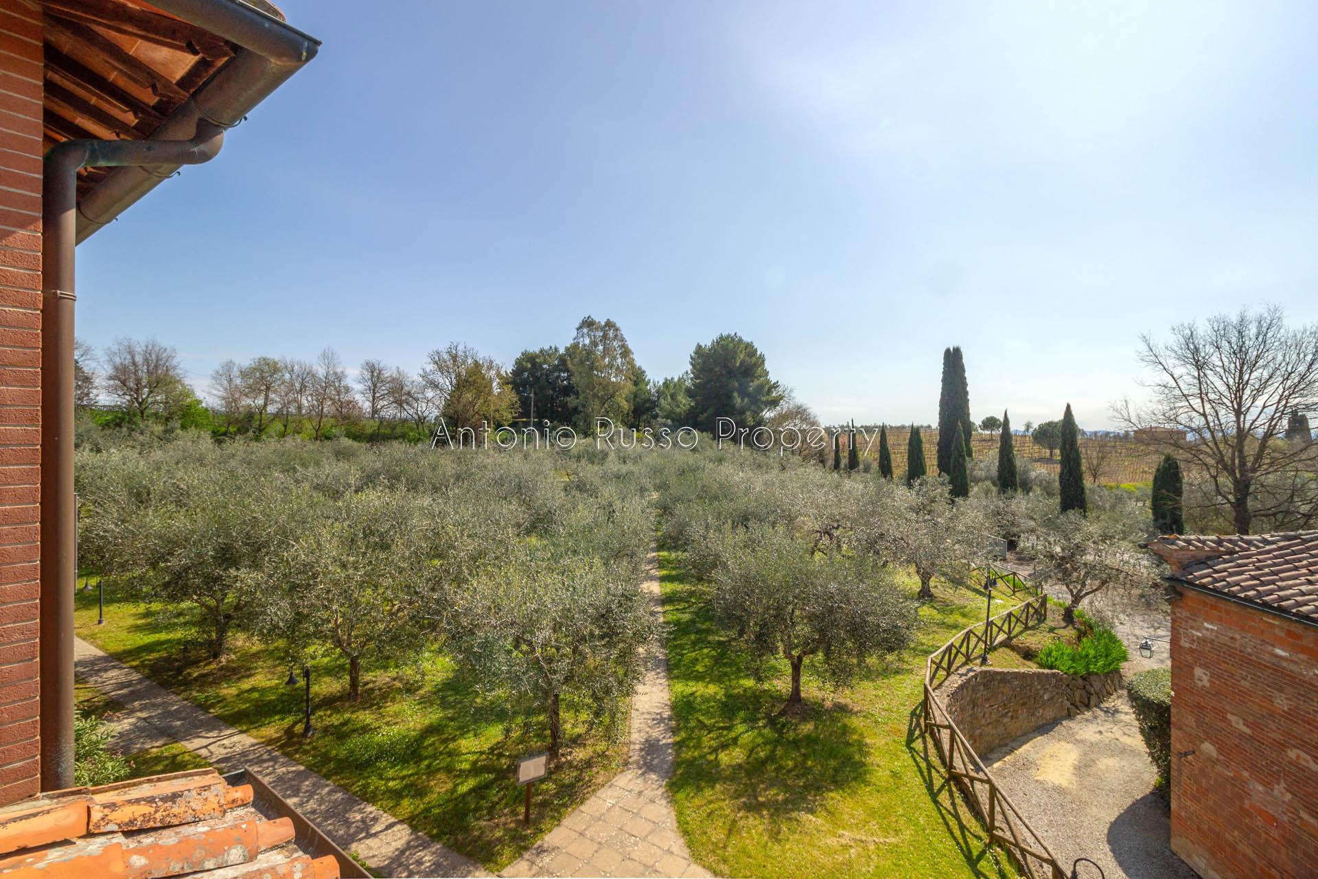 /api/file/public/265171/29252