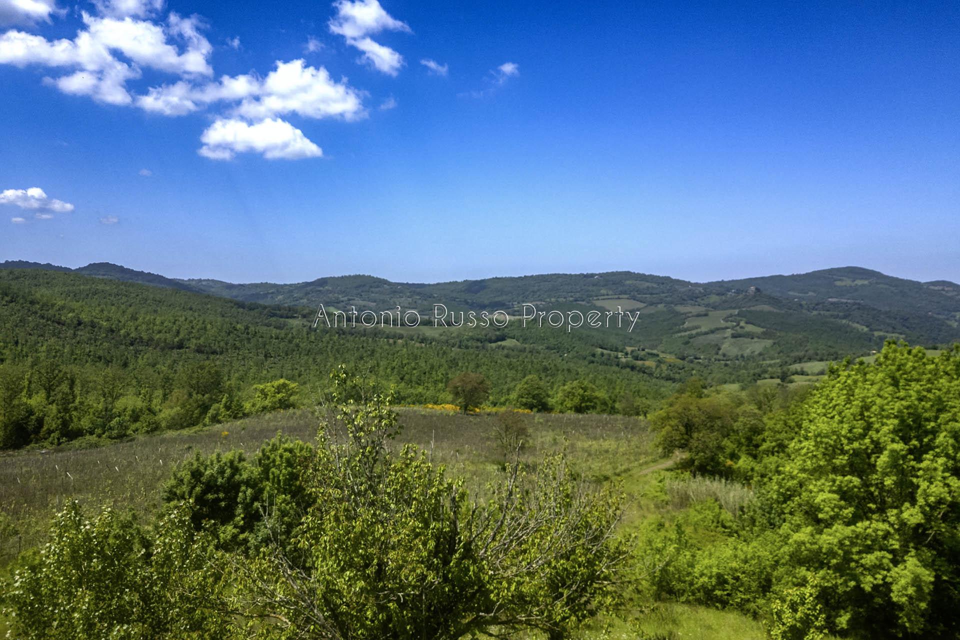 /api/file/public/265173/29305