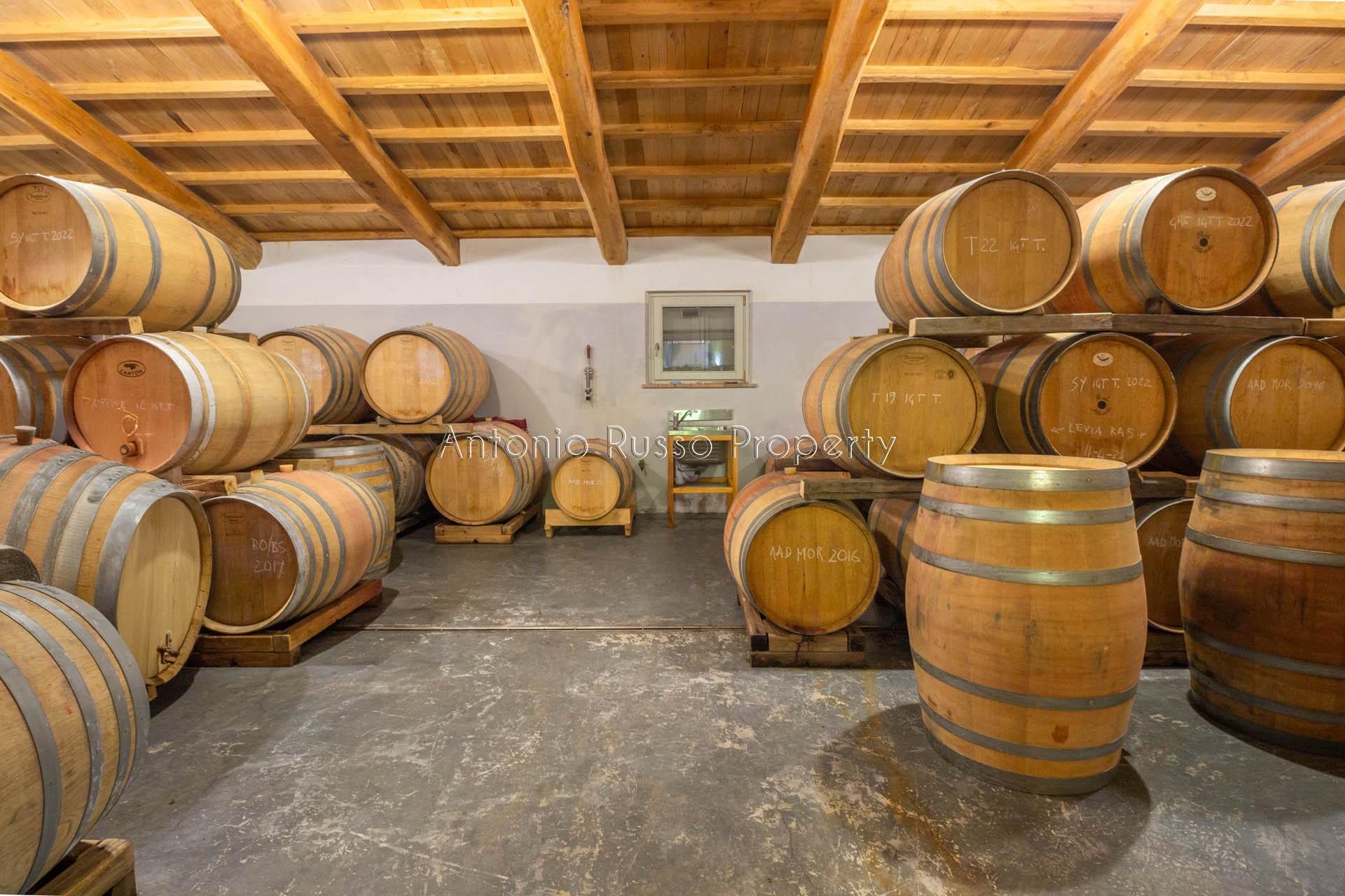 /api/file/public/265173/29306