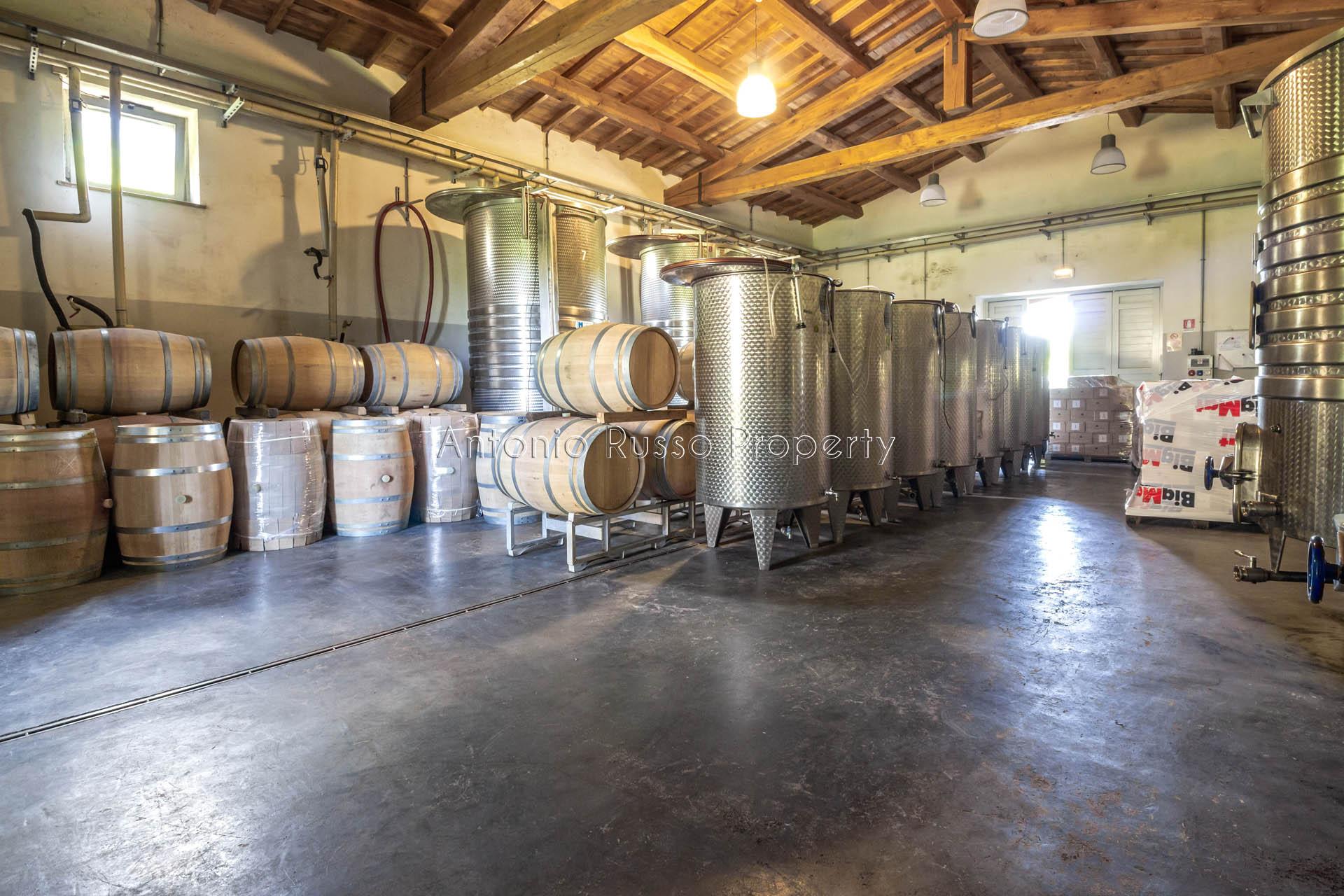 /api/file/public/265173/29309