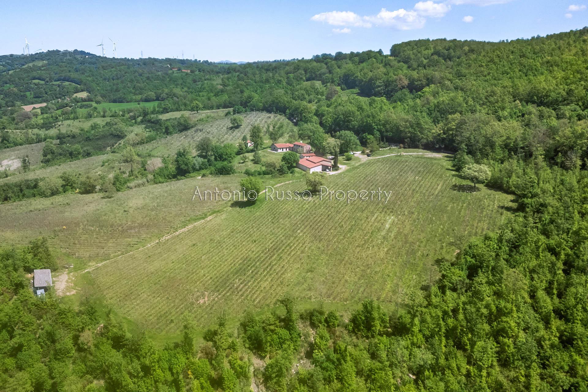 /api/file/public/265173/29310