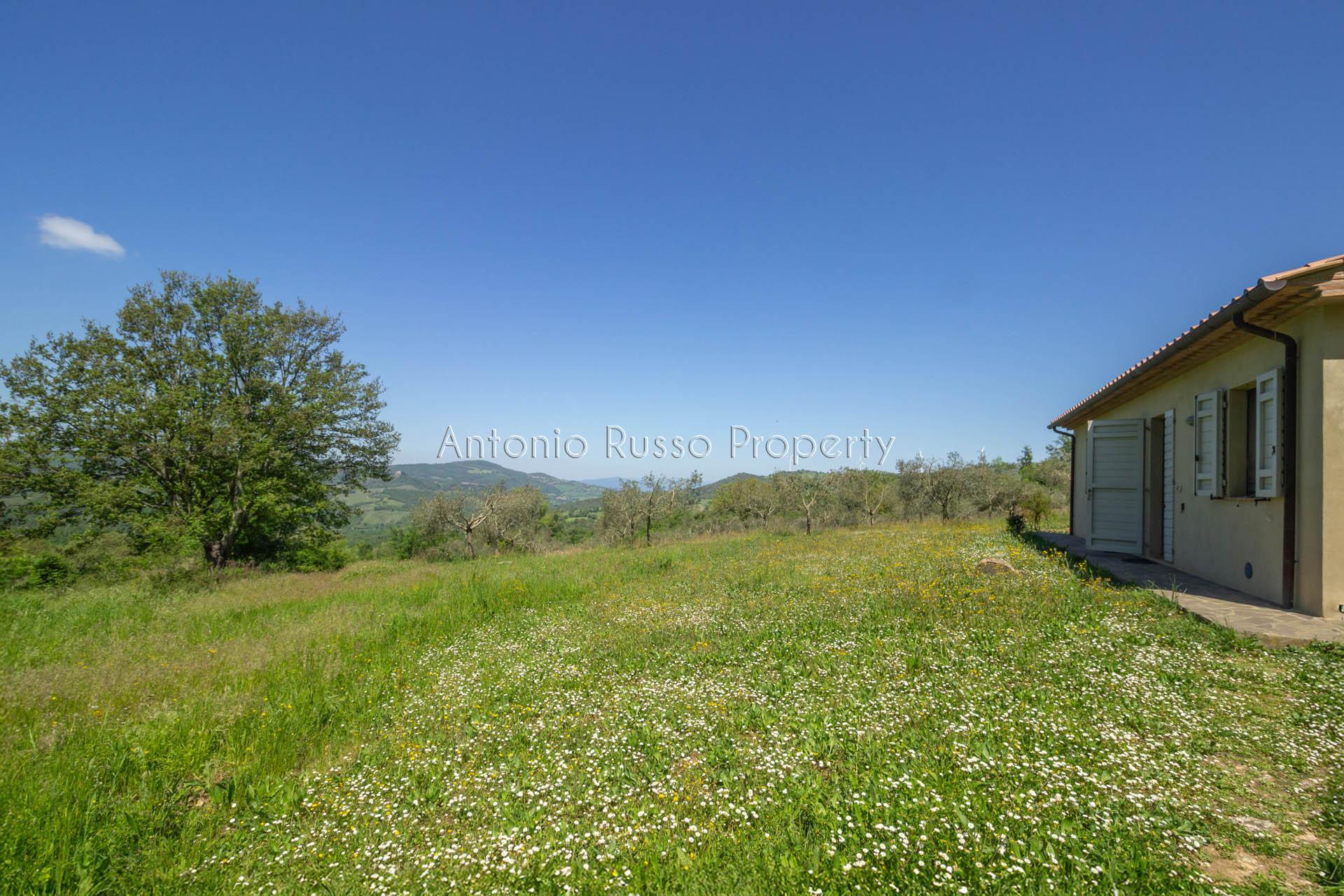 /api/file/public/265173/29312