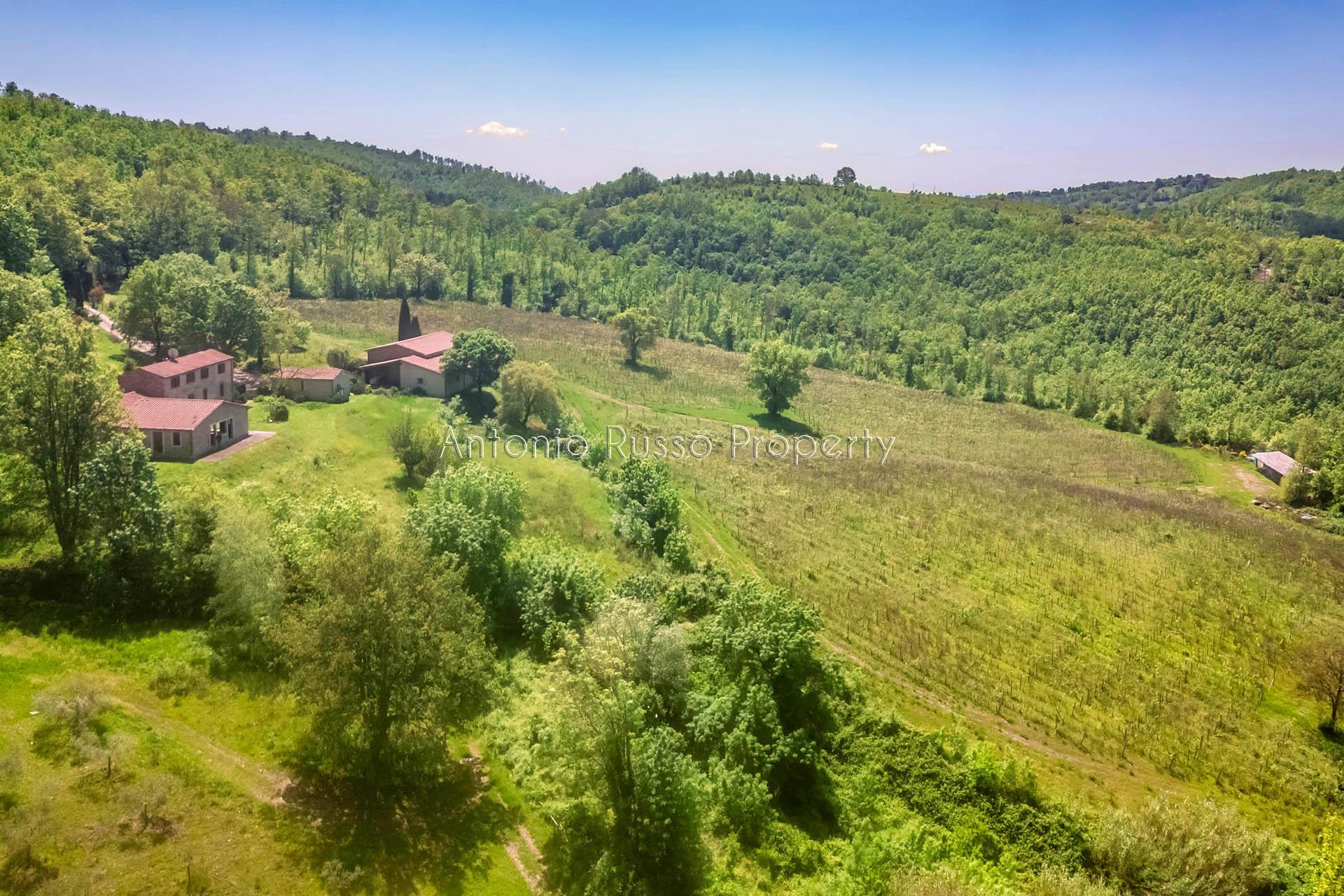 /api/file/public/265173/29313