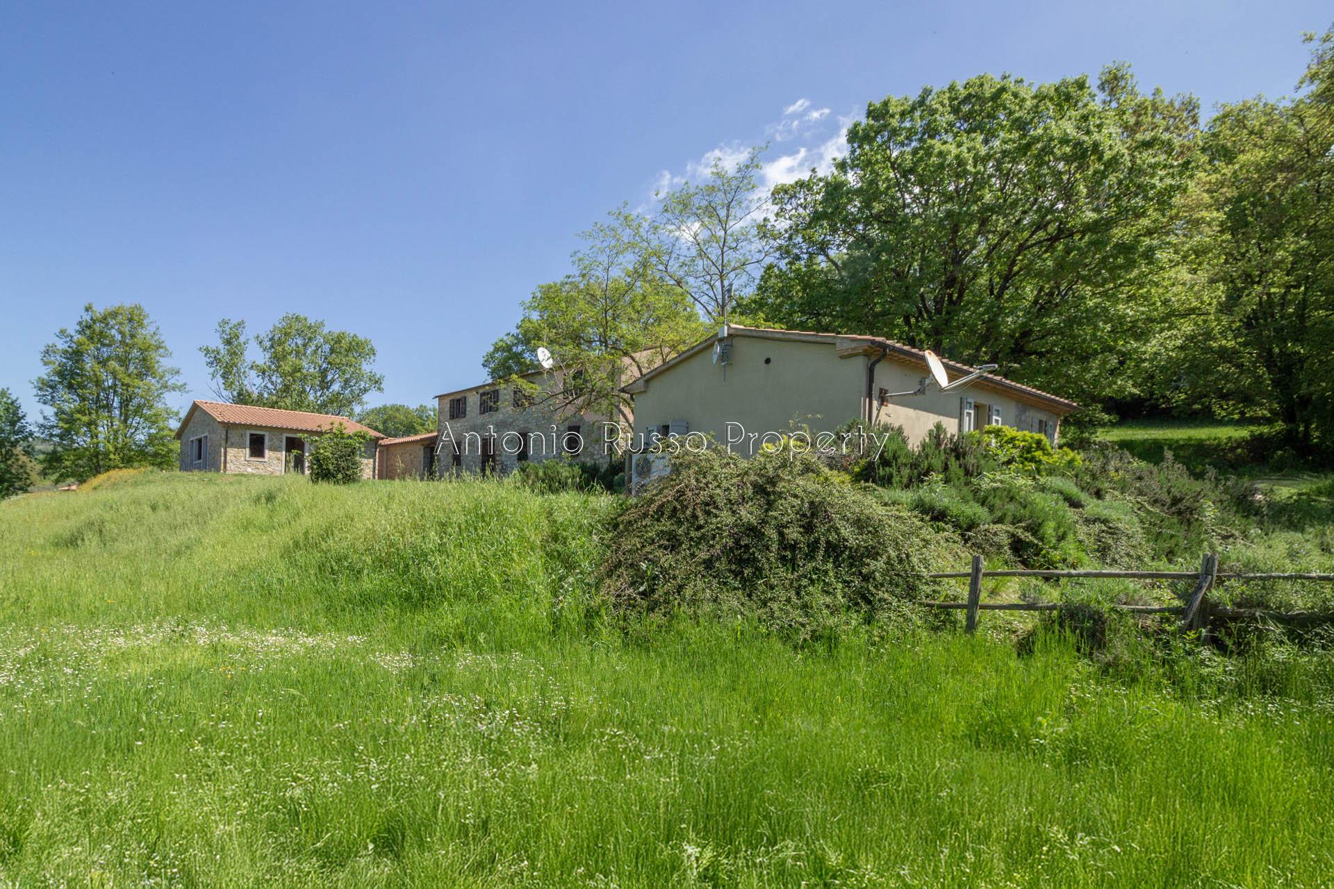 /api/file/public/265173/29317