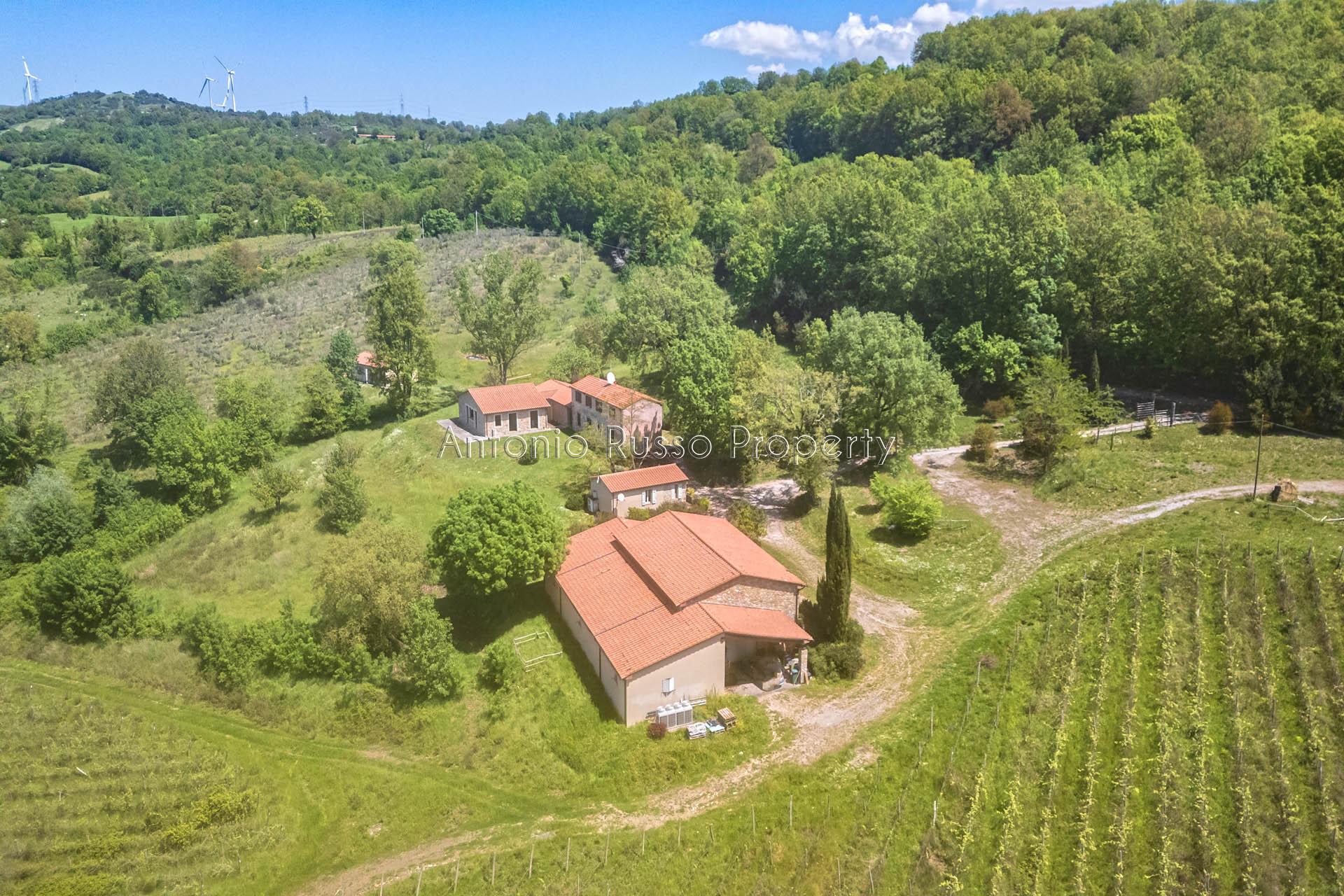 /api/file/public/265173/29320