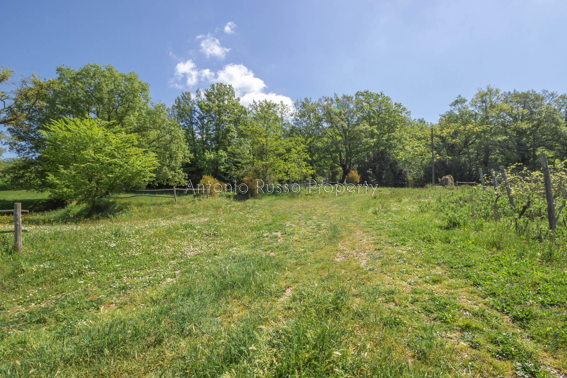 /api/file/public/265173/29322