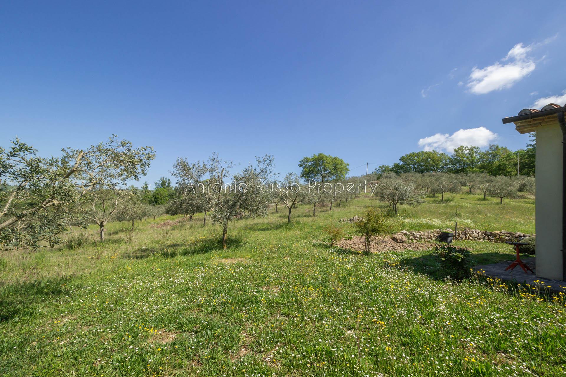 /api/file/public/265173/29323