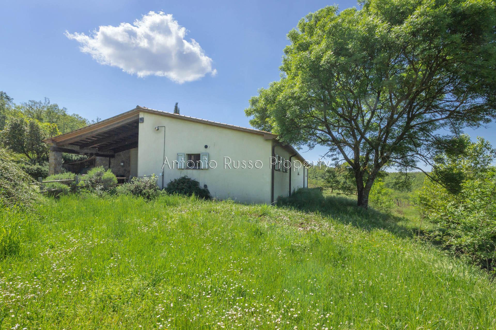 /api/file/public/265173/29324