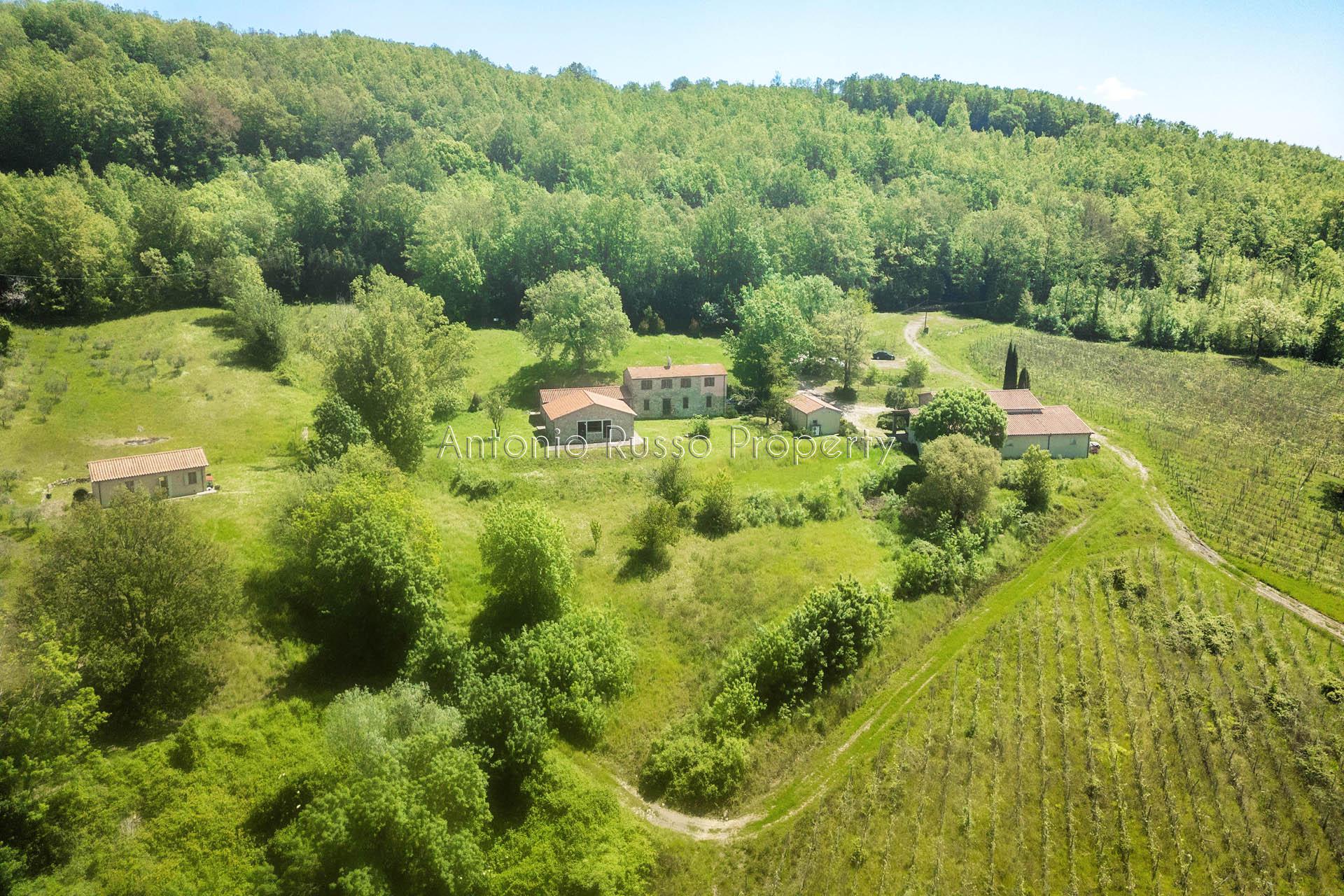 /api/file/public/265173/29326