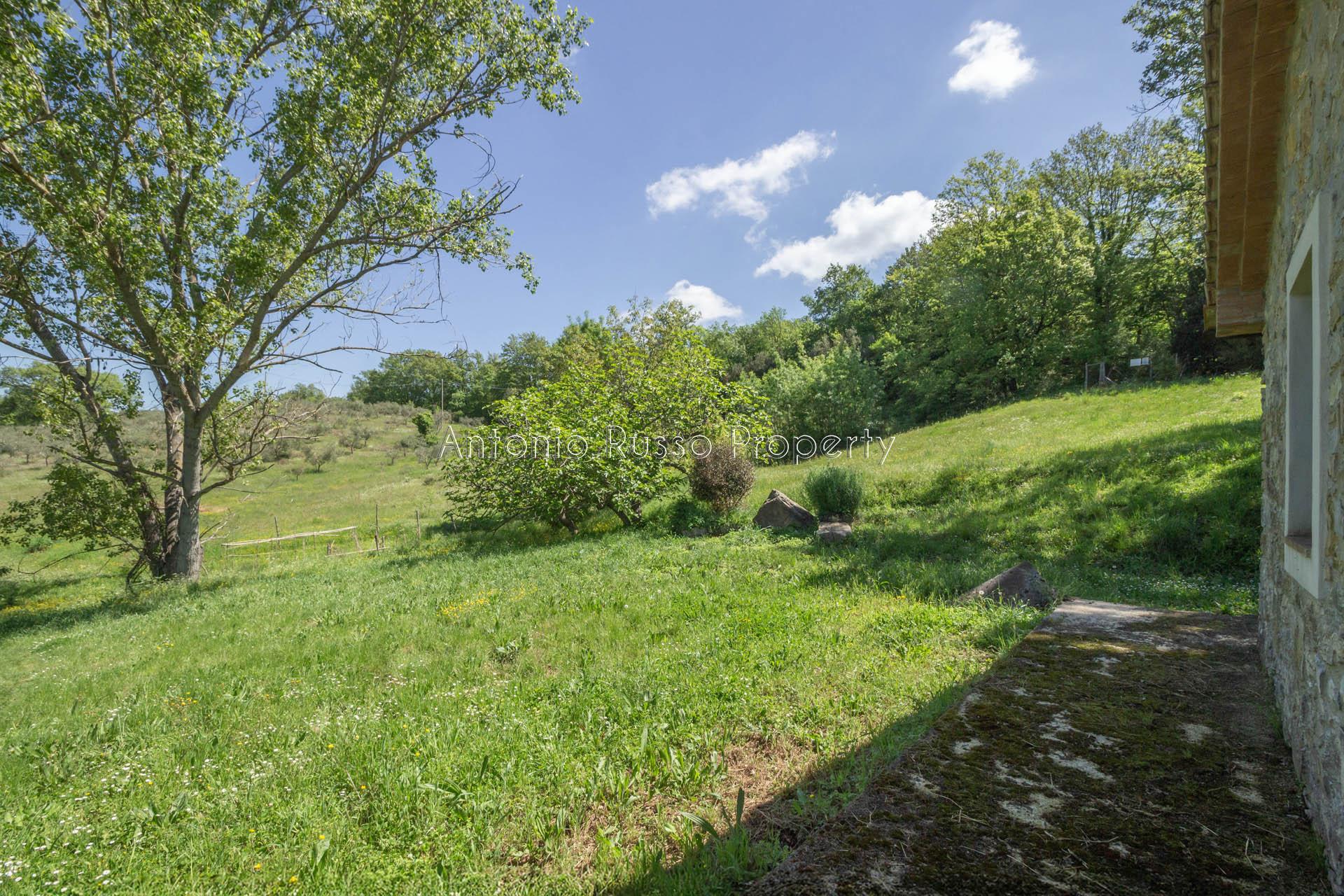 /api/file/public/265173/29327