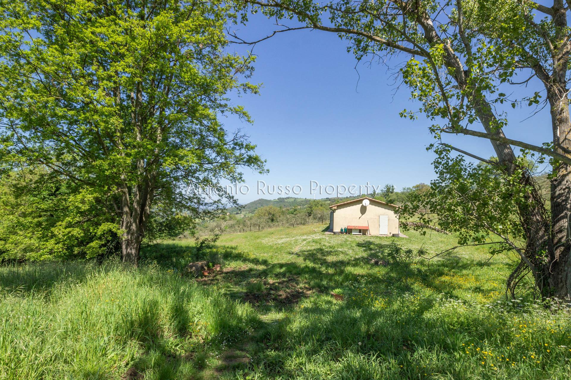 /api/file/public/265173/29328