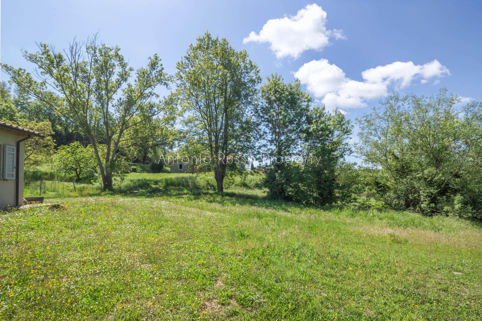 /api/file/public/265173/29329