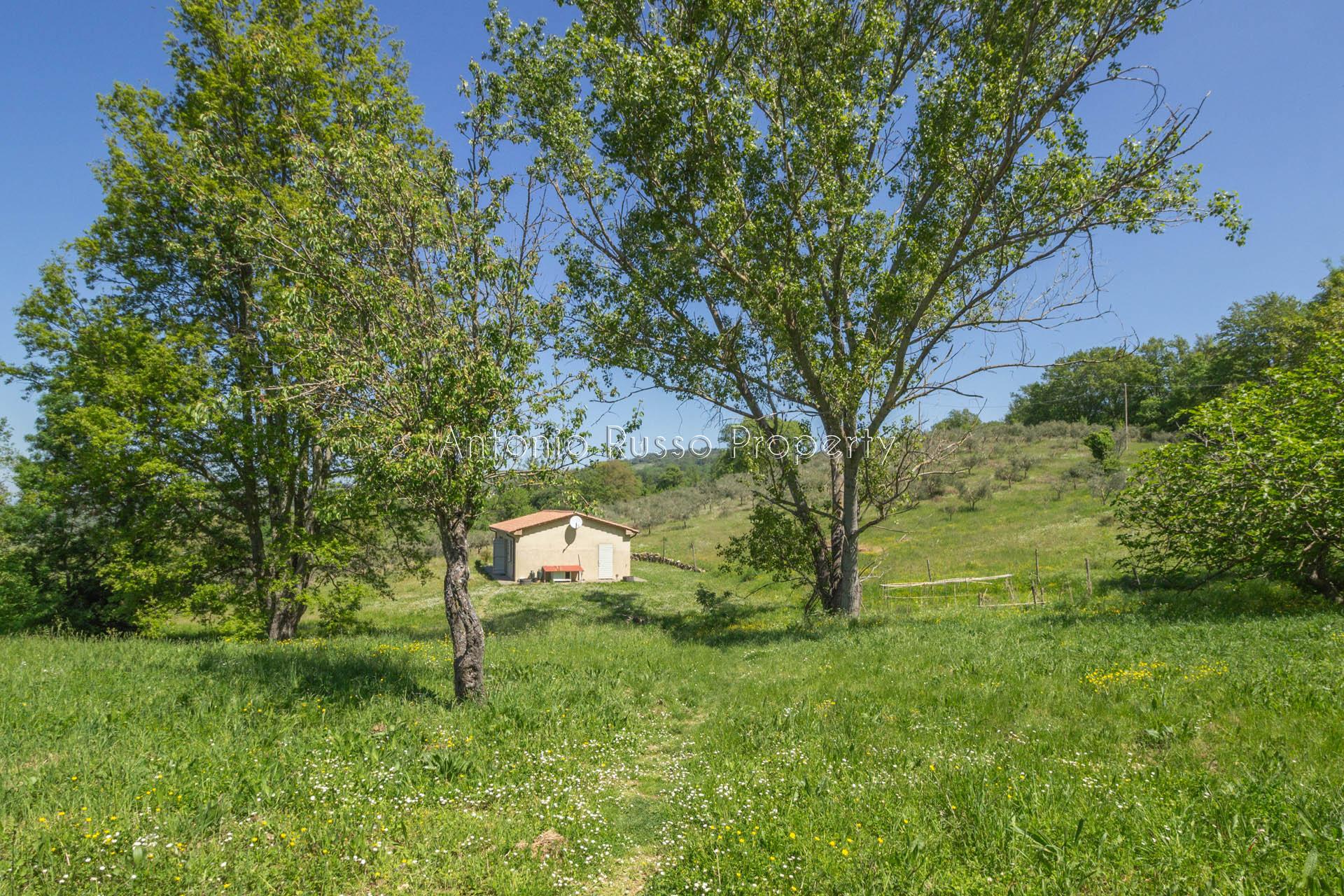 /api/file/public/265173/29333