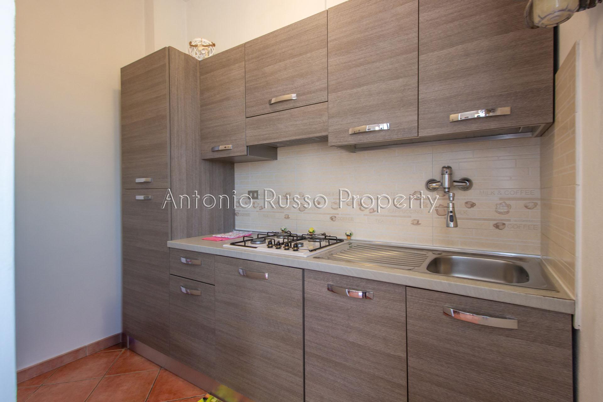 /api/file/public/265176/29357