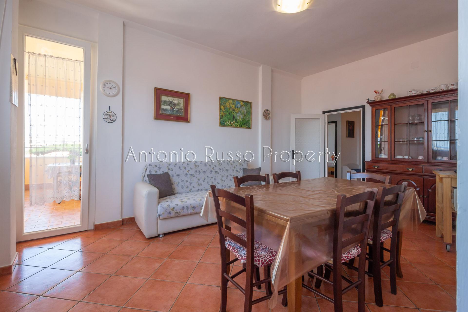 /api/file/public/265176/29364