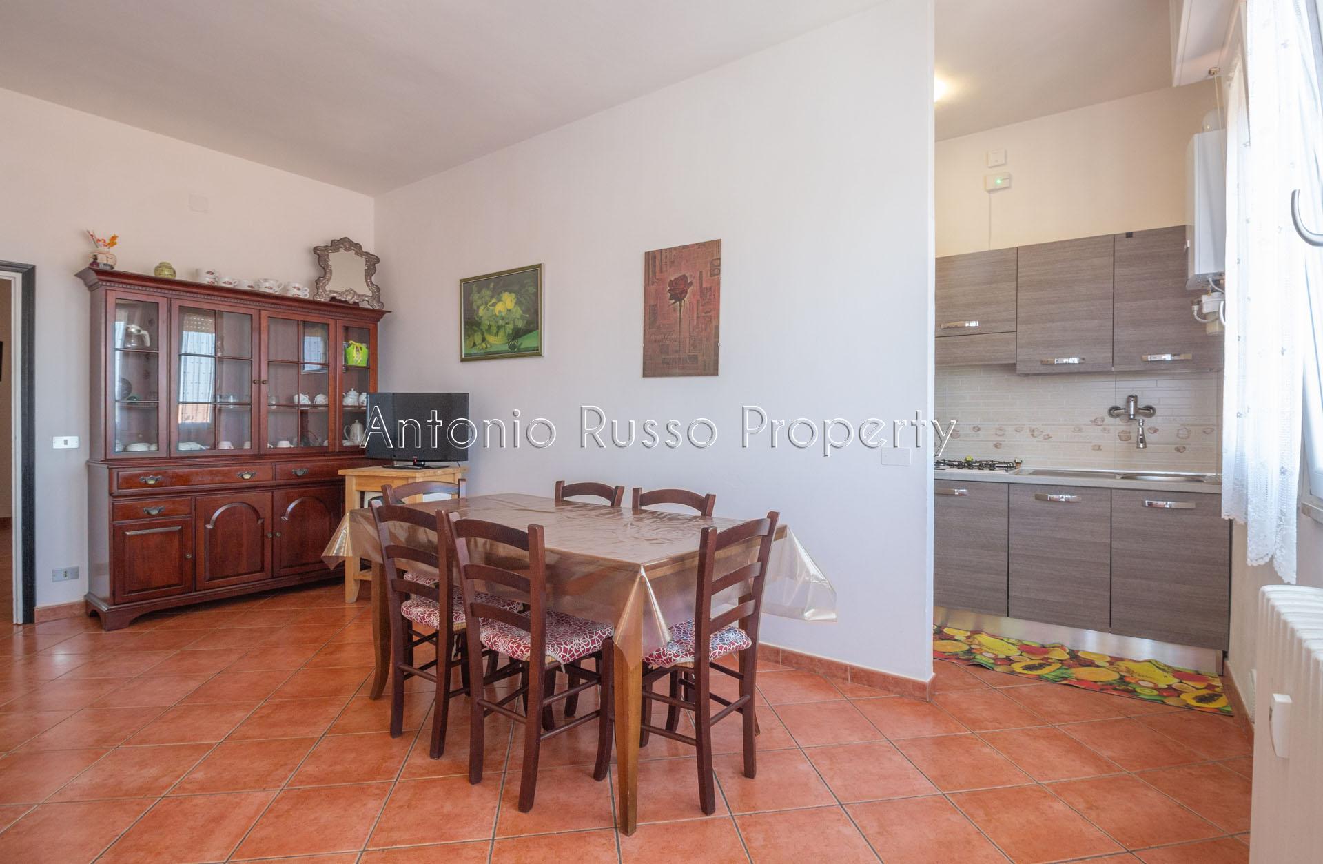 /api/file/public/265176/29365