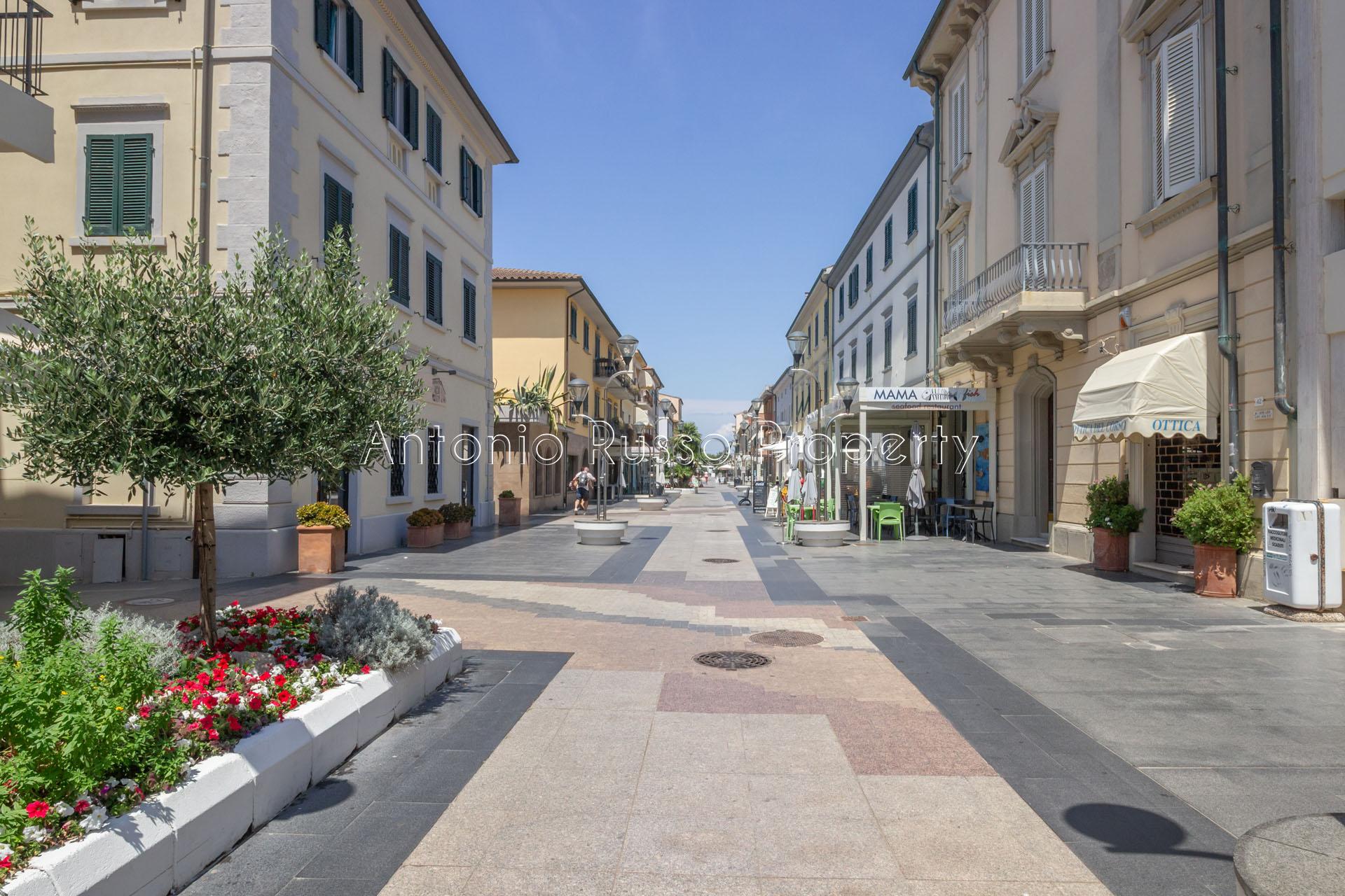 /api/file/public/265178/29441