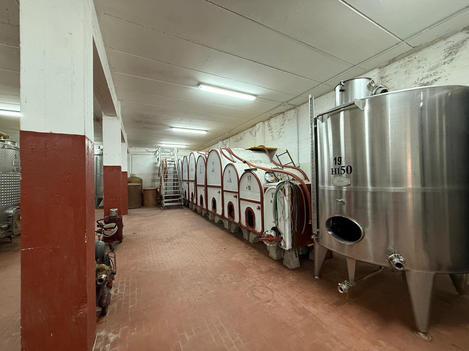 /api/file/public/265180/29484