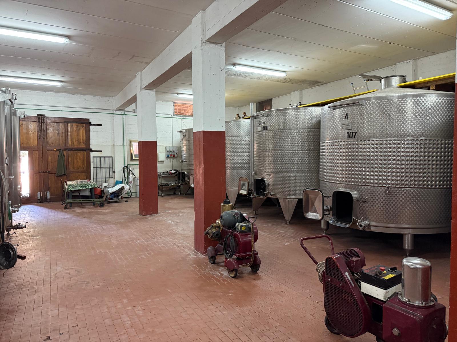 /api/file/public/265180/29487