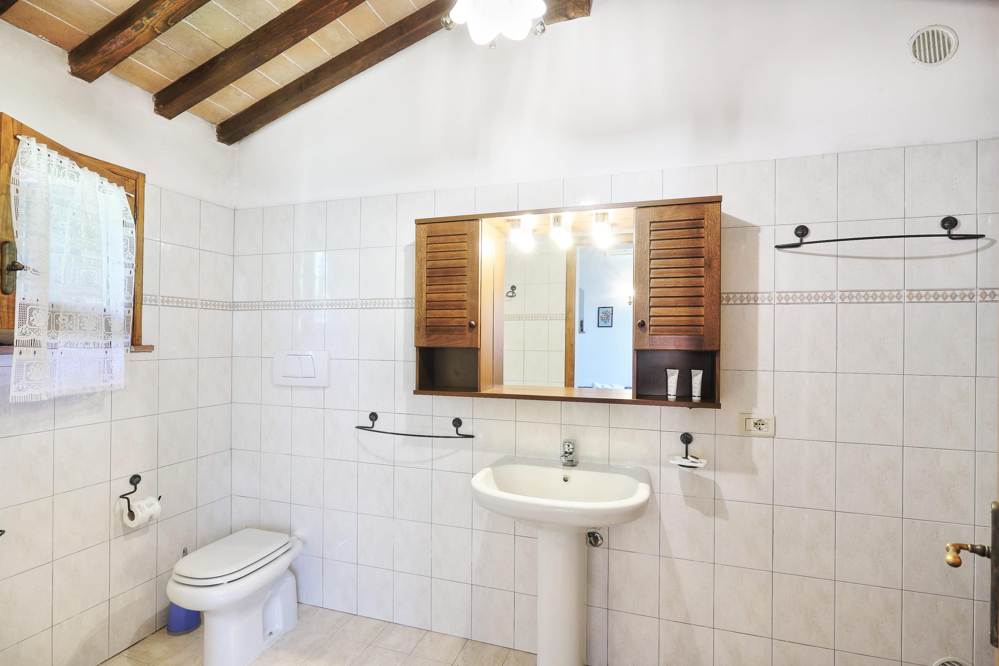 /api/file/public/265180/29493