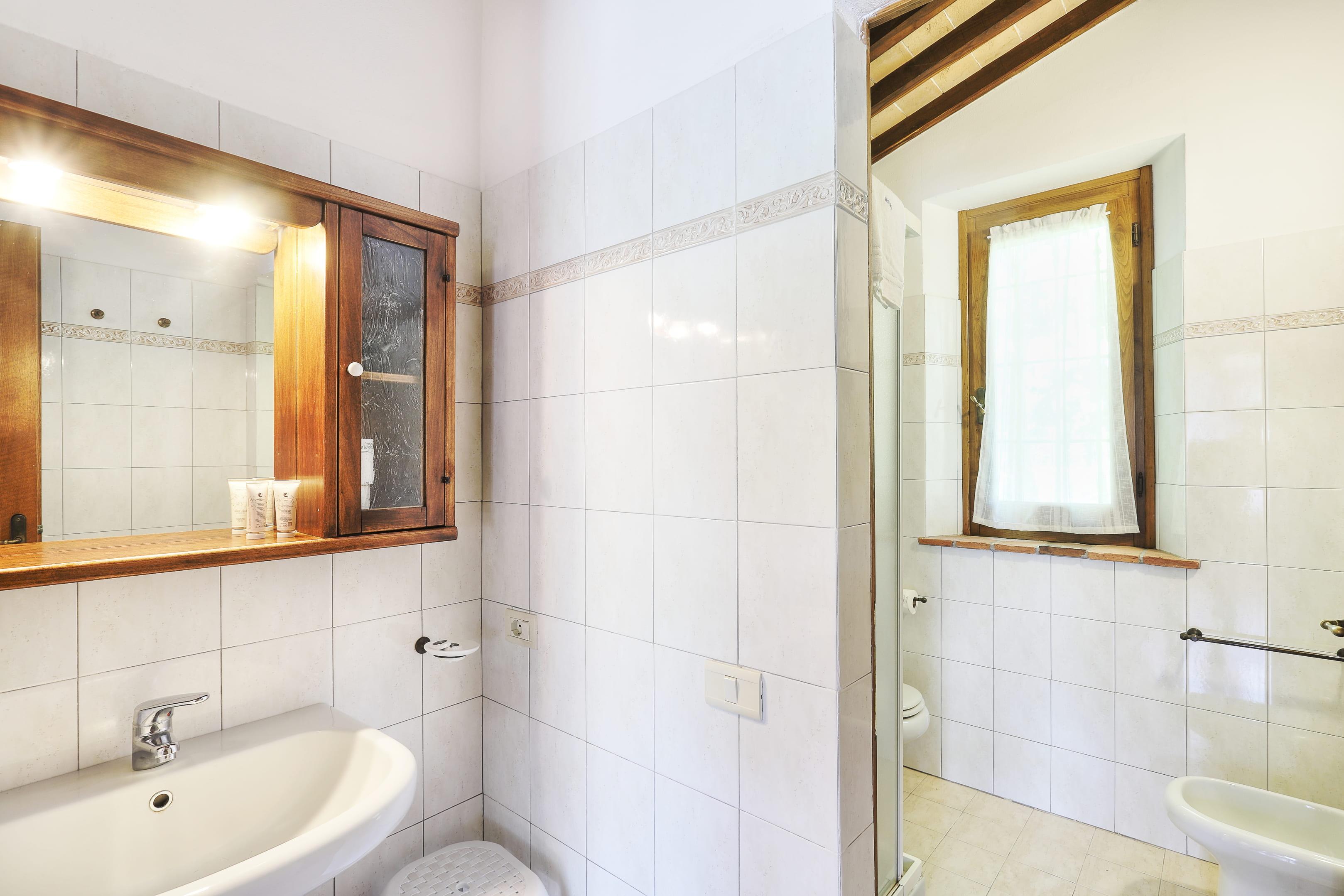 /api/file/public/265180/29494