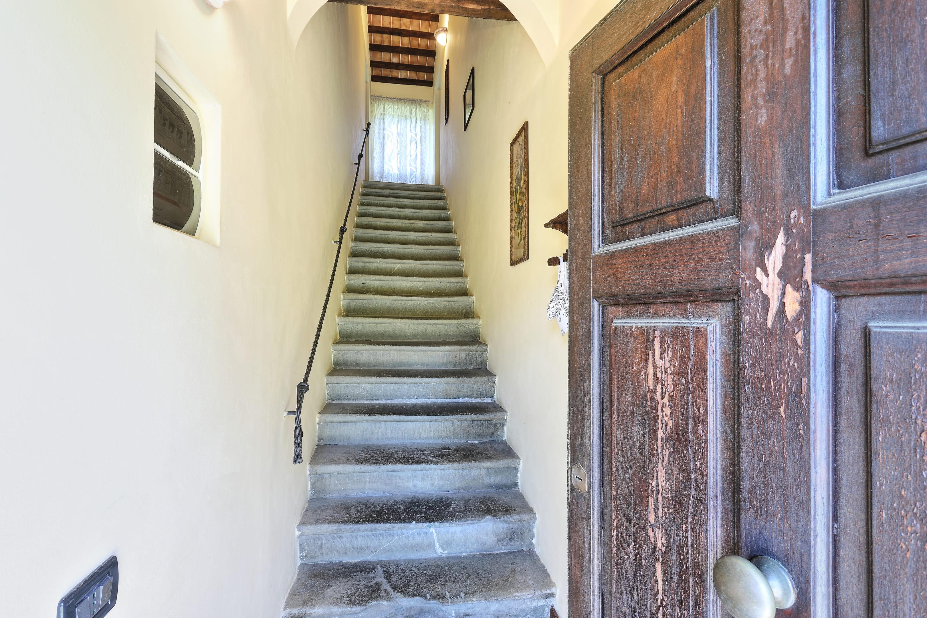 /api/file/public/265180/29516