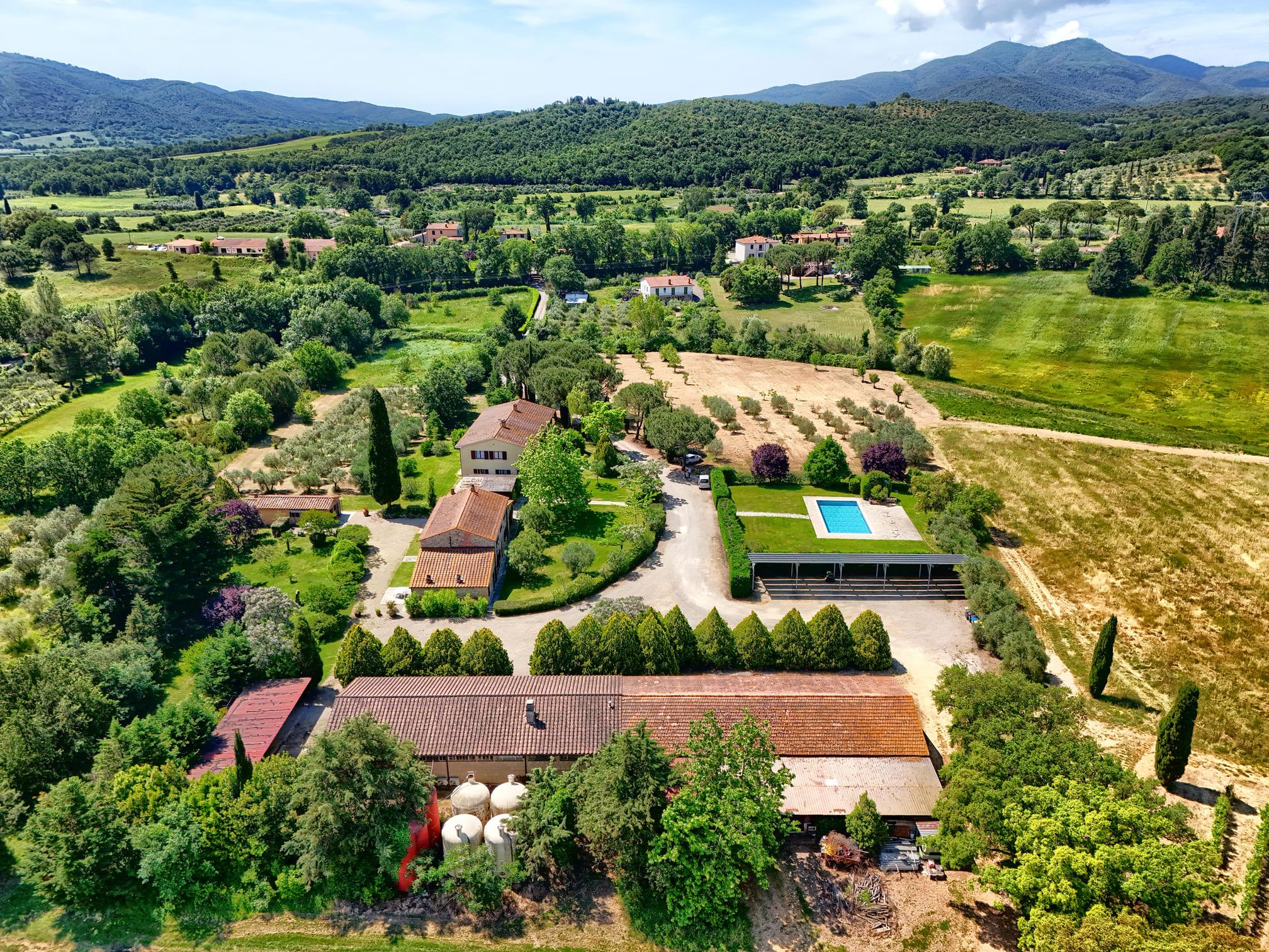 /api/file/public/265180/29518