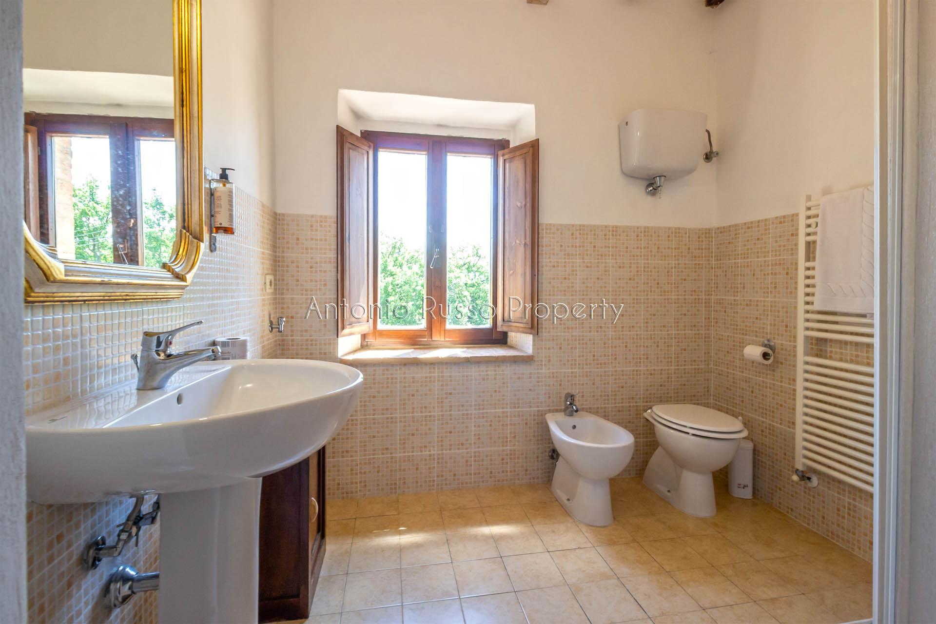 /api/file/public/265181/29535