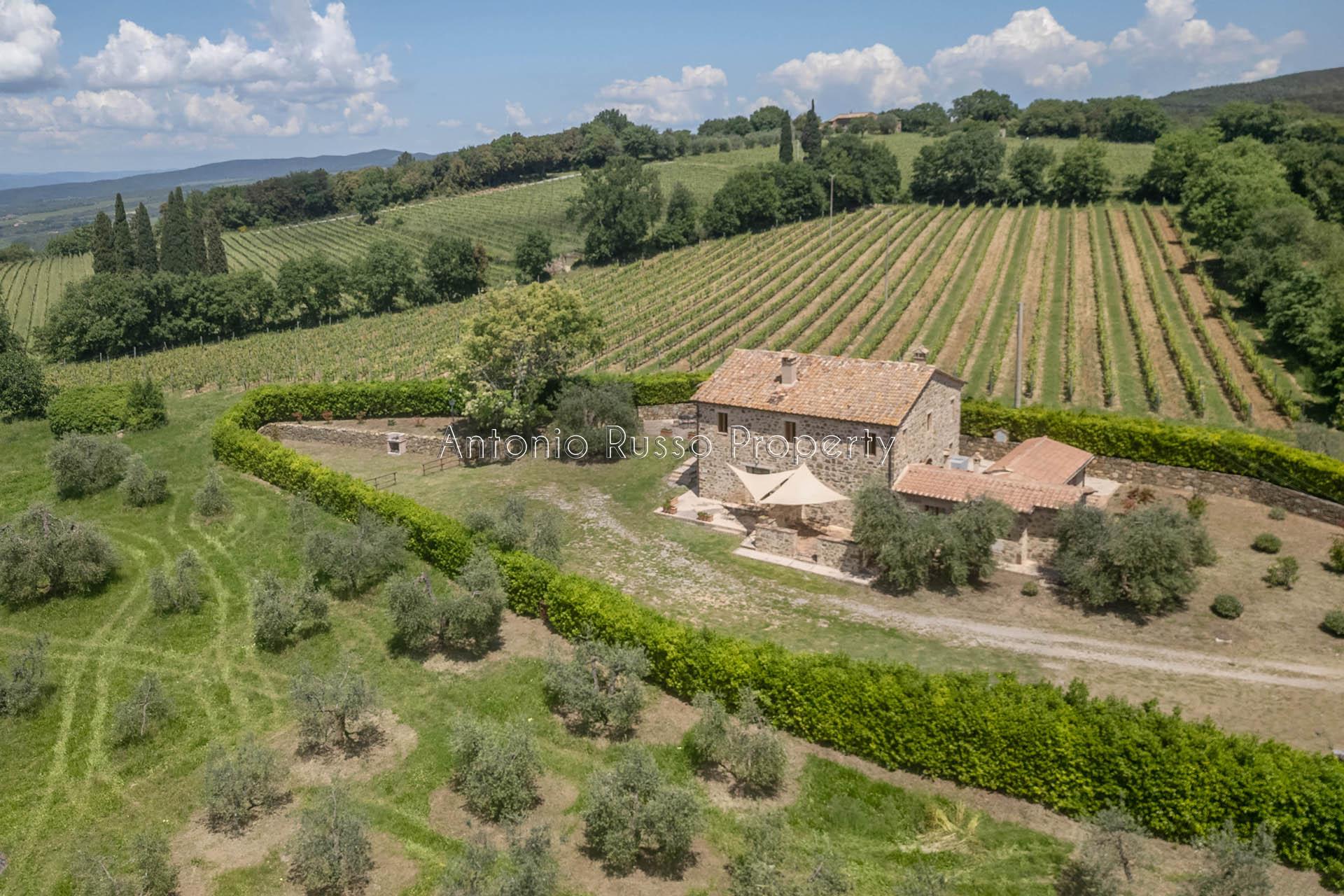 /api/file/public/265181/29542