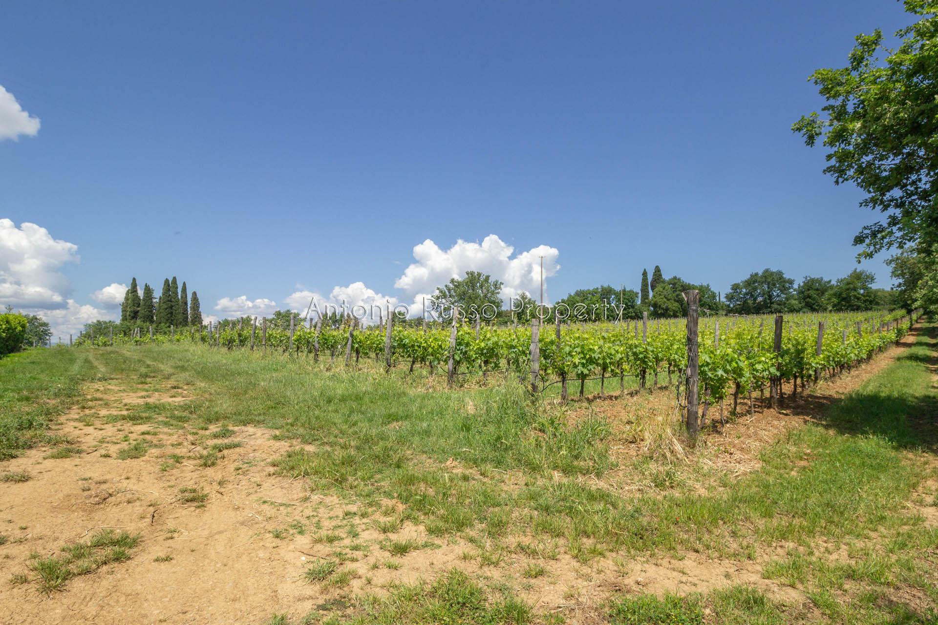 /api/file/public/265181/29545